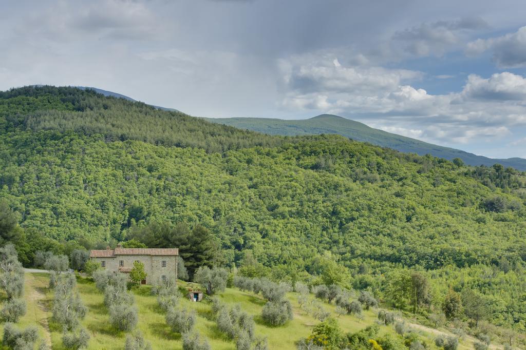 Agriturismo Bindozzino Castiglione dʼOrcia المظهر الخارجي الصورة